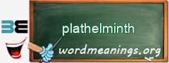 WordMeaning blackboard for plathelminth